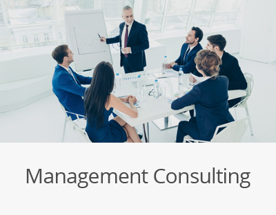 Management-Consulting
